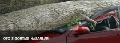 Kasko Hasarları 